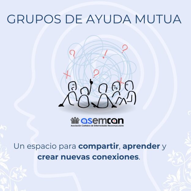 Snapinsta.app_460382335_1564625908269959_6351342700093716860_n_1080